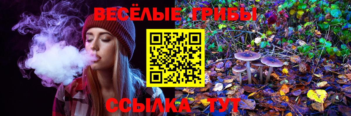 Псилоцибиновые грибы Cubensis  как найти закладки  Павлово  Вход с VPN 