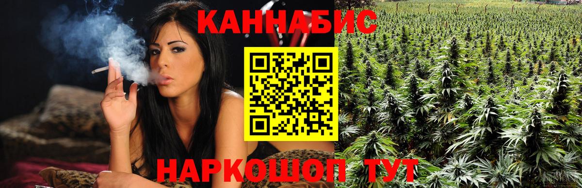 Бошки Шишки VHQ Павлово